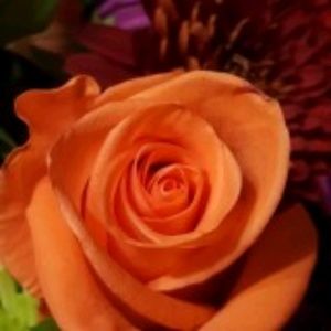 Meet your Posher, Patty